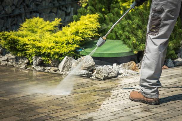 Best Parking Lot and Garage Cleaning  in Muskegon, MI